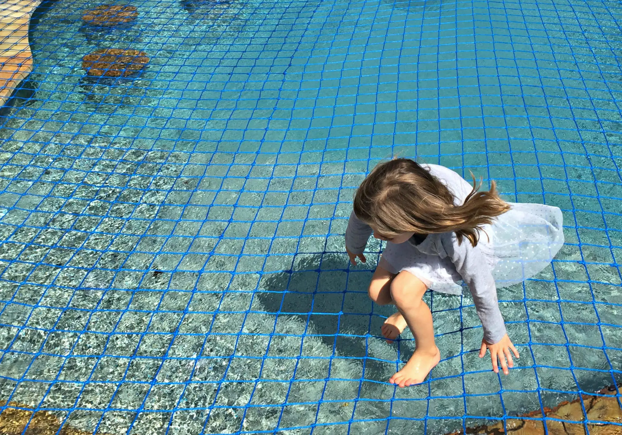 Pool Safety for Children & Pets: Complete SANS 10134 Guide